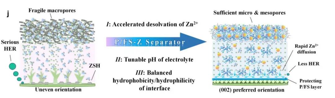 劉宇/遲曉偉EES：親疏水平衡的無(wú)機(jī)/有機(jī)混合隔膜實(shí)現(xiàn)高可逆性和可回收的鋅金屬電池