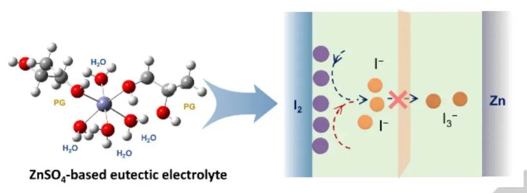 ?喬世璋Angew.：低成本且不易燃的共晶電解質(zhì)用于先進(jìn) Zn-I2電池