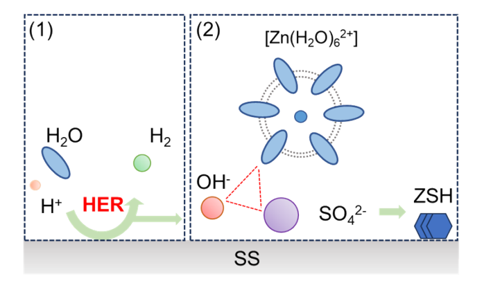 數(shù)篇Science、Nature中招，紐扣電池測試有陷阱！最新EES喊你來避雷！