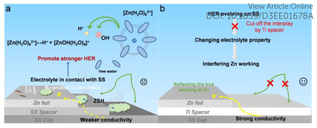 數(shù)篇Science、Nature中招，紐扣電池測試有陷阱！最新EES喊你來避雷！