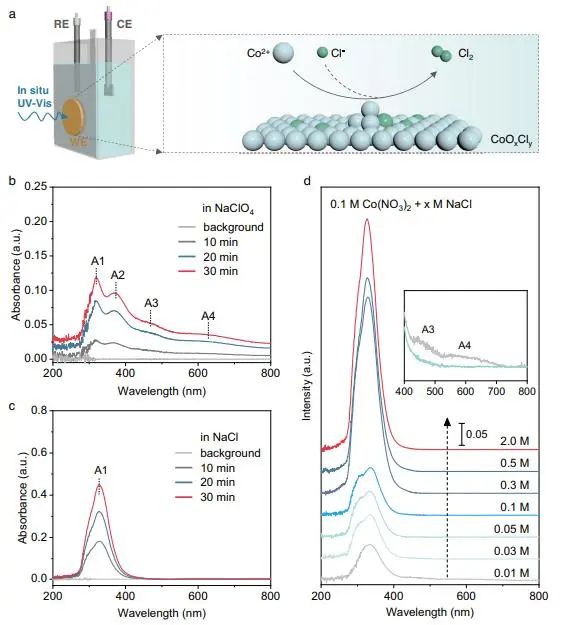 催化頂刊集錦：Nature子刊、Angew.、EES、AFM、ACS Nano等成果