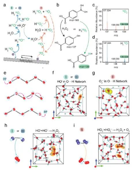 催化頂刊集錦：JACS、Angew.、Joule、AM、AFM、ACS Catal.、Nano Lett.等