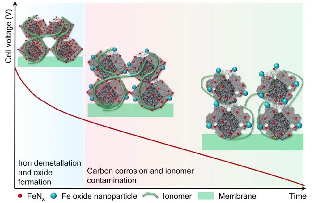 趙川教授EES：Fe-N-C催化劑在質(zhì)子交換膜燃料電池中的降解機(jī)理