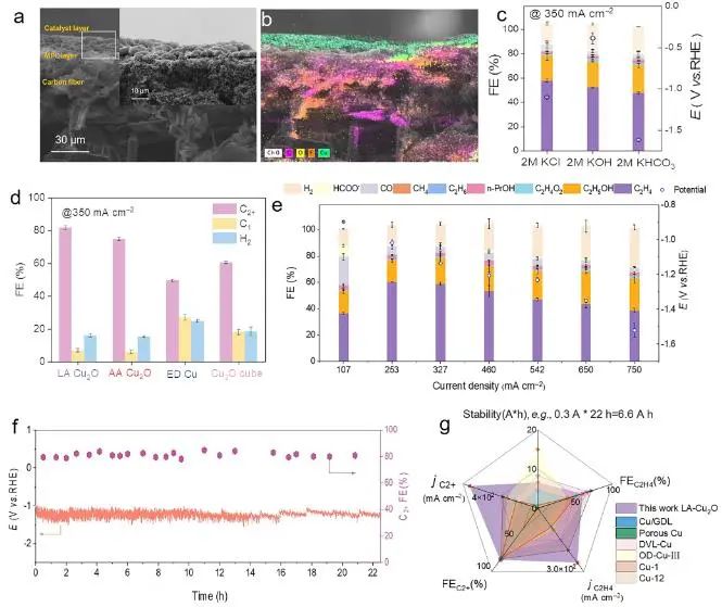 八篇頂刊速遞：Nature子刊、Angew.、JACS、AM、AFM、ACS Catalysis等！