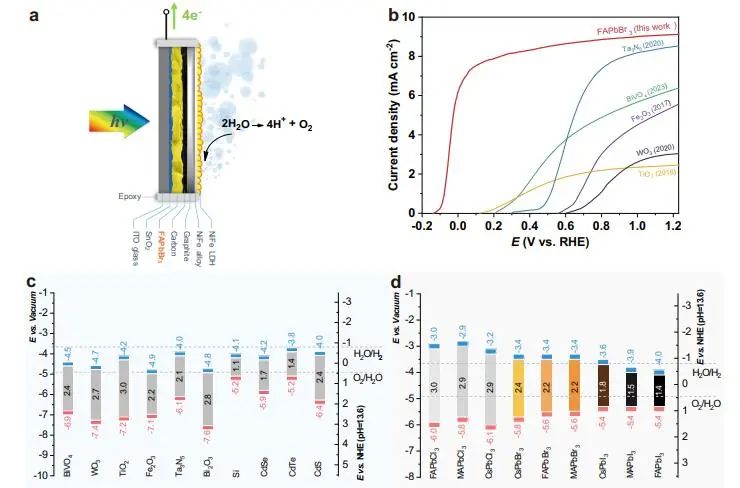 催化頂刊集錦：JACS、Nature子刊、Angew.、ACS Catal.、AFM、ACS Nano等成果