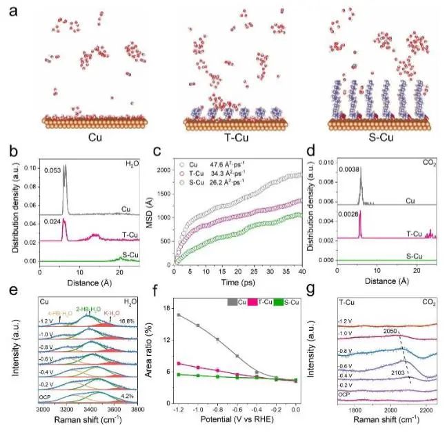 催化頂刊集錦：JACS、Nature子刊、Angew.、ACS Catal.、AFM、ACS Nano等成果