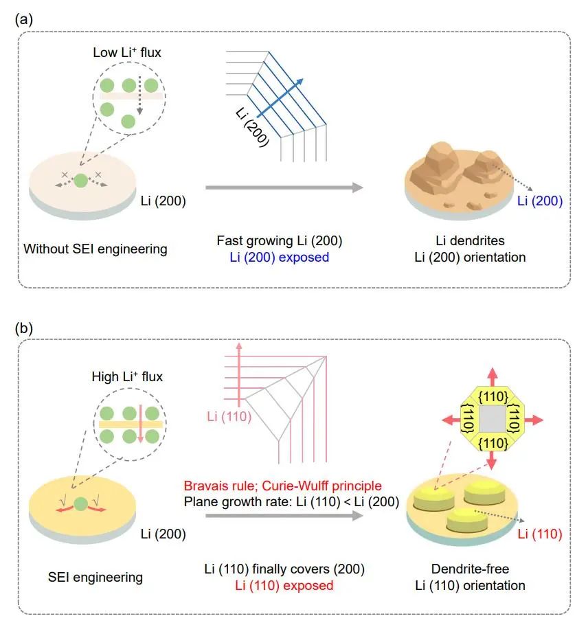 丁書江教授Angew.：高通量固體電解質(zhì)界面助力（110）定向鋰沉積實現(xiàn)無枝晶鋰金屬電池