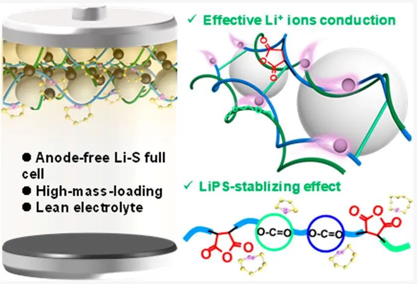 ?ACS Energy Letters: 具有快速鋰離子傳輸?shù)亩辰Y(jié)劑實(shí)現(xiàn)高質(zhì)量負(fù)載無負(fù)極鋰硫電池