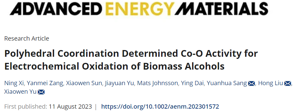 于小雯/劉宏AEM：多面體配位測定電化學(xué)氧化生物質(zhì)醇的Co-O活性