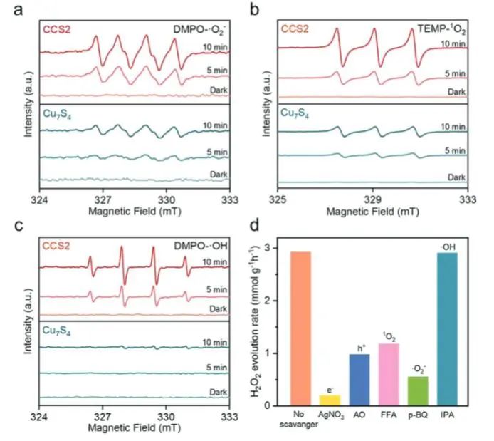 催化頂刊集錦：Nature子刊、Angew.、EES、AFM、ACS Nano等成果