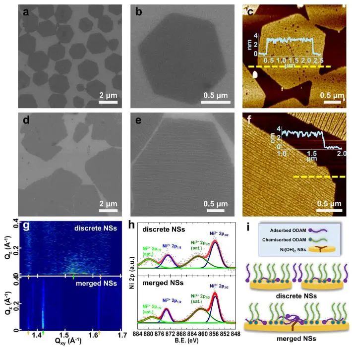 催化頂刊集錦：Nature子刊、Angew.、EES、AFM、ACS Nano等成果