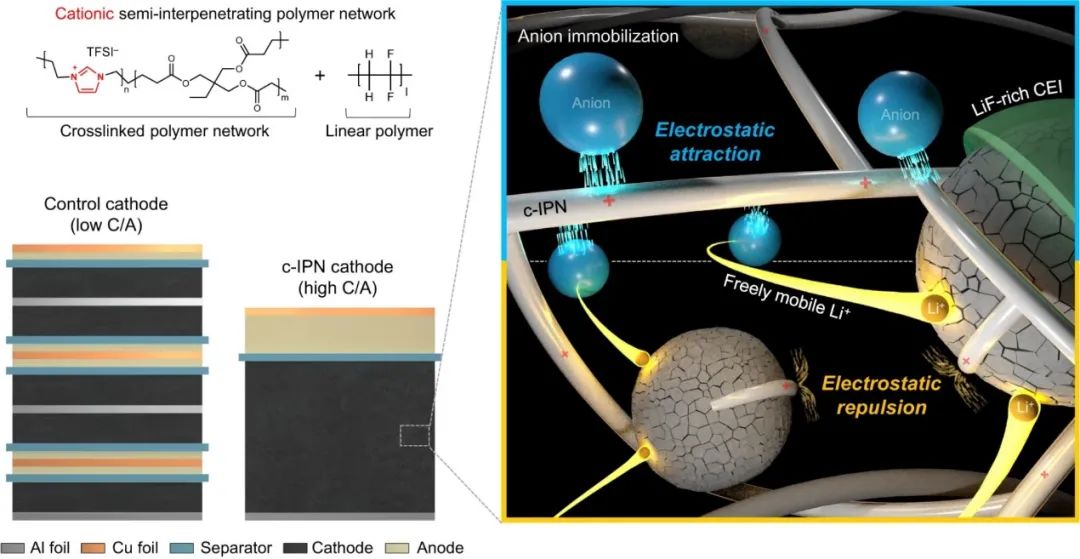 ?Nature子刊：陽離子聚合物粘結劑使NCM811面容量高達20 mAh/cm2！