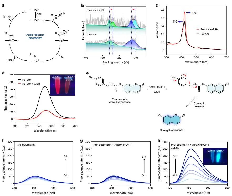 曲曉剛研究員，最新Nature Catalysis！