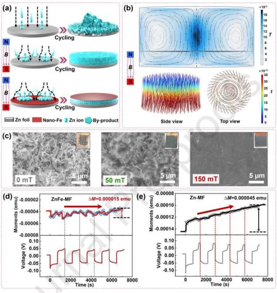 侯仰龍/賴超Science Bulletin：超穩(wěn)定鐵磁界面助力實(shí)用鋅金屬電池