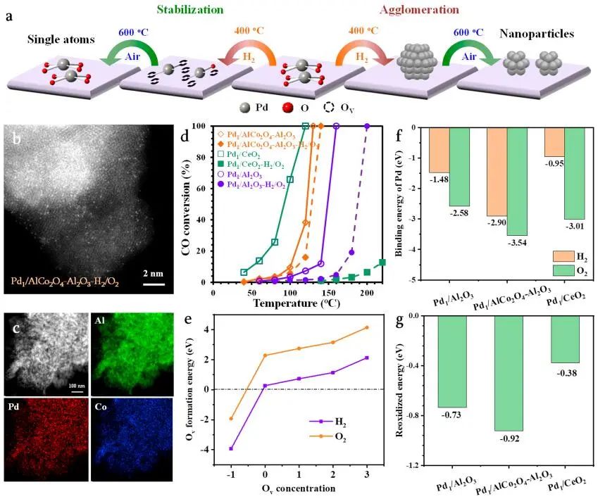 劉雨溪/戴洪興/李亞棟，最新JACS！制備單原子催化劑新策略！