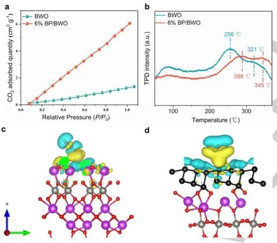 山東大學Angew.：近100%選擇性！BP/BWO S-型異質(zhì)結(jié)助力苯胺氧化和CO2光轉(zhuǎn)化