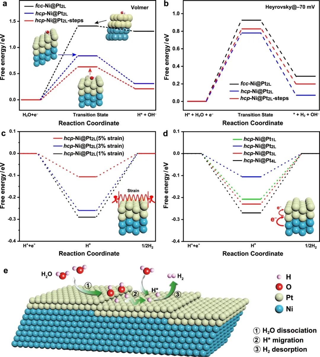 催化頂刊合集：Nature子刊、Angew、AFM、ACS Nano、ACB、Nano Lett等成果！