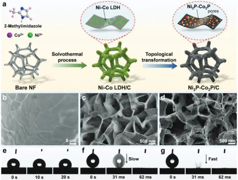 AFM：空間受限拓?fù)滢D(zhuǎn)換策略立大功，構(gòu)建Ni2P-Co2P異質(zhì)結(jié)構(gòu)實現(xiàn)高效尿素電解