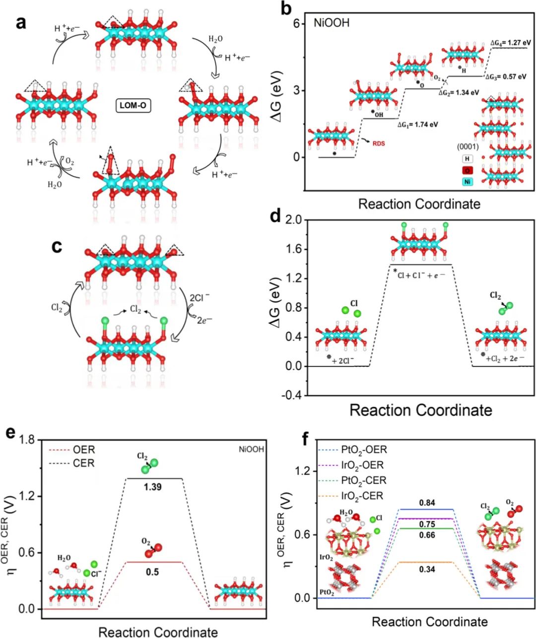 催化頂刊合集：JACS、ACS Catalysis、AM、AEM、CEJ、Small等成果！