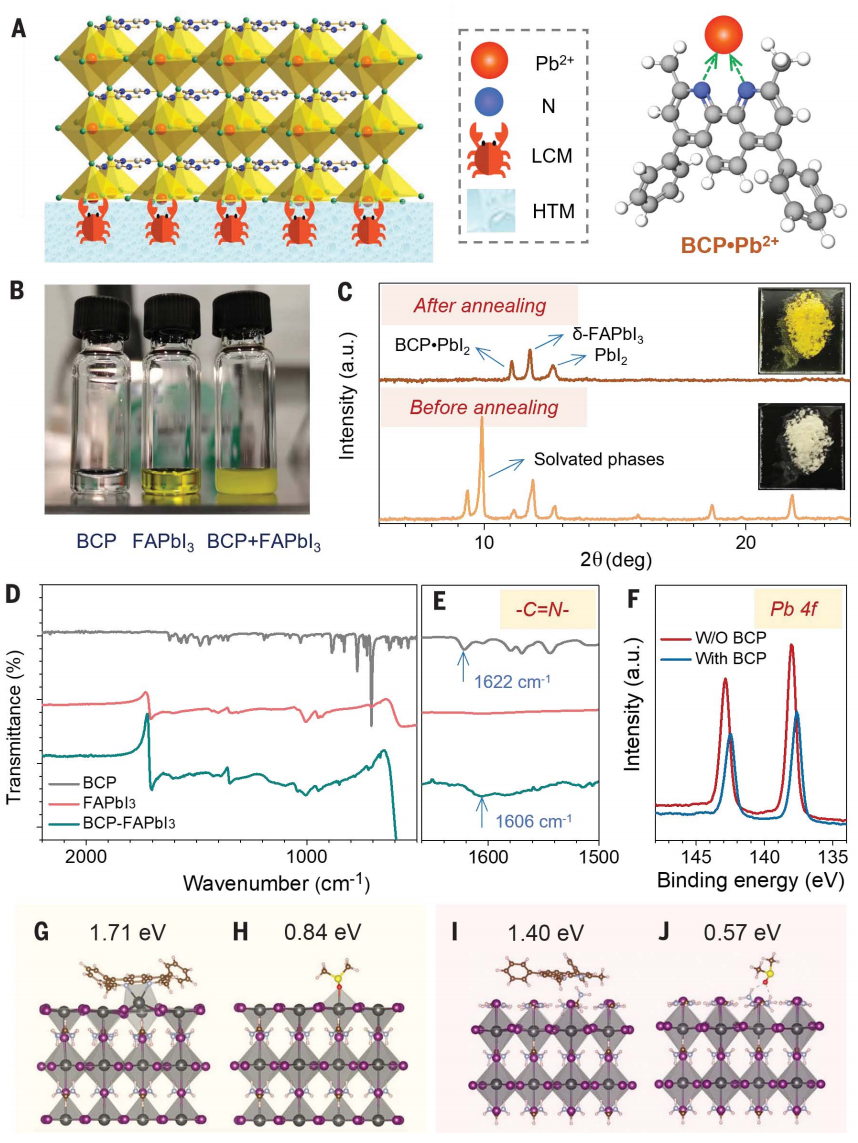 黃勁松教授，最新重磅Science！