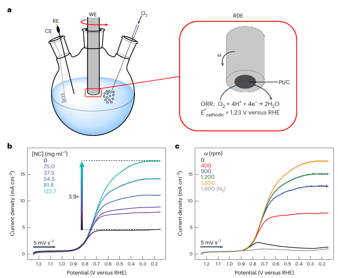 最新Nature Catalysis，在微孔中增強(qiáng)電催化氧還原活性！