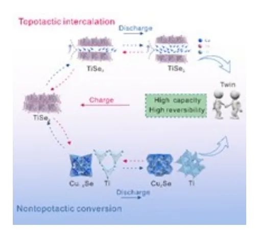 朱大明/王勇研/孫元鶴AM ：雙拓撲/非拓撲反應TiSe2正極助力水系電池