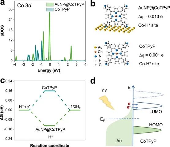 催化頂刊合集：Nature子刊、JMCA、Small、Carbon Energy、AFM、CEJ等成果！