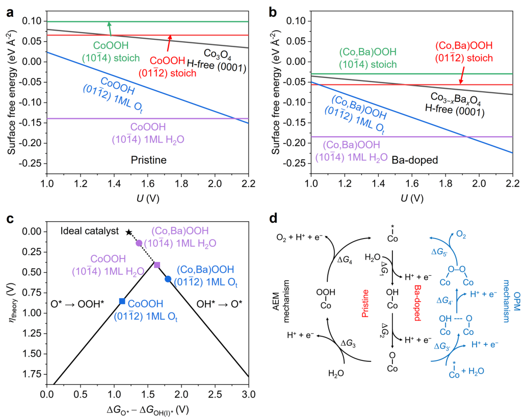 超燃！他發(fā)表第16篇Nature Catalysis，第36篇JACS！