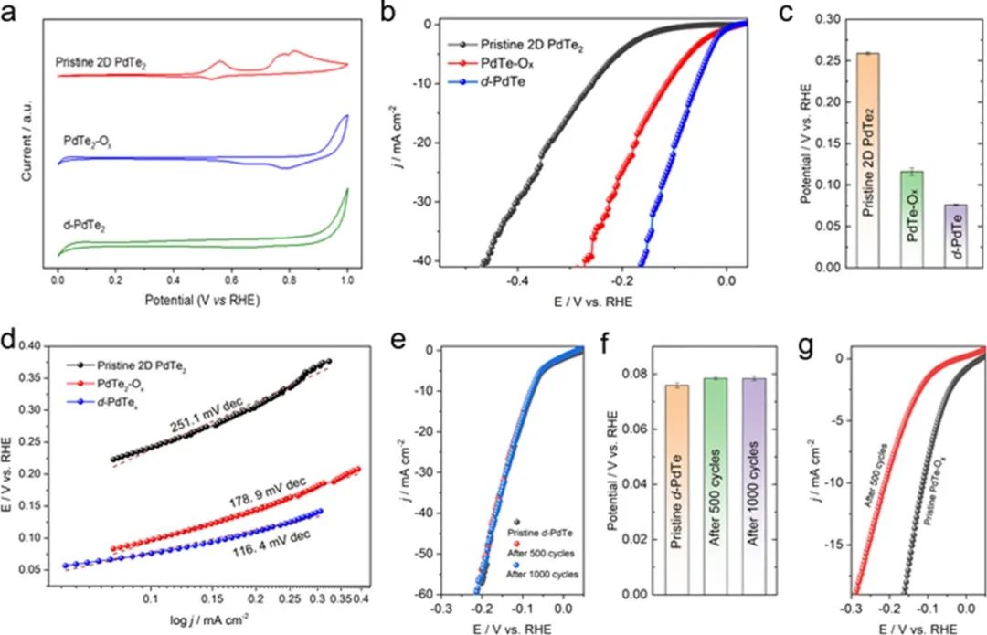 催化頂刊集錦：JACS、ACS Catalysis、Small、JMCA、CEJ、Angew、Carbon Energy等成果