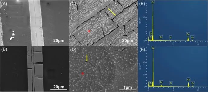 催化頂刊集錦：JACS、ACS Catalysis、Small、JMCA、CEJ、Angew、Carbon Energy等成果