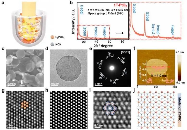 催化頂刊集錦：Nature子刊、JACS、EES、AM、AFM、Nano Letters等成果