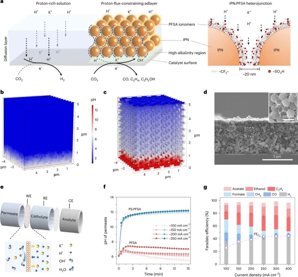 David Sinton&李逢旺，最新Nature Synthesis！