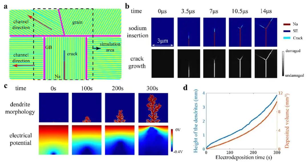 黃建宇/唐永福EES：氧化鋁基全固態(tài)鈉金屬電池中枝晶生長的形態(tài)動力學