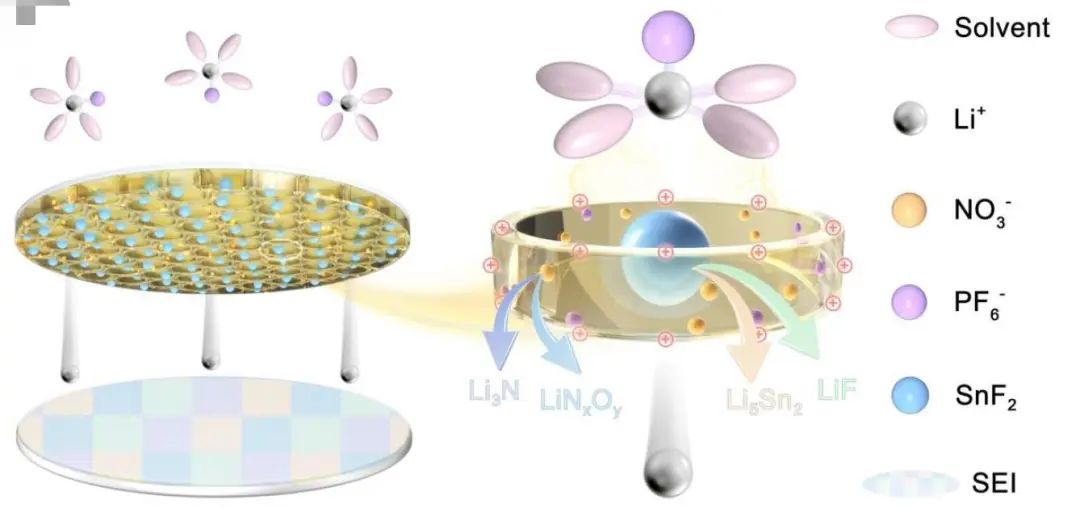 胡仁宗教授EES：富含SnF2和NO3的隔膜用于高性能鋰金屬電池的直接超穩(wěn)定界面