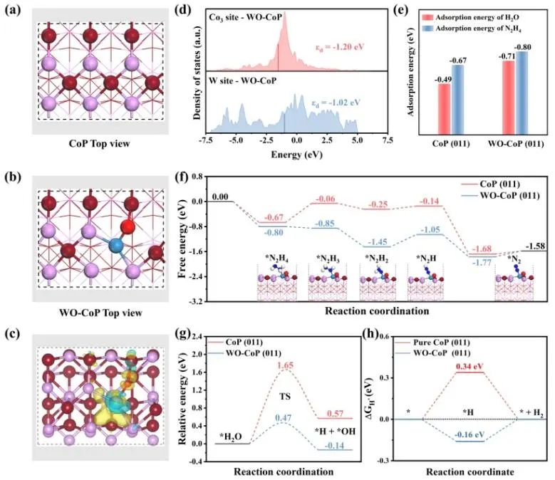 催化頂刊速遞：Nature Catalysis、EES、Nature子刊、Angew、Sci. Adv.、ACS Nano等成果