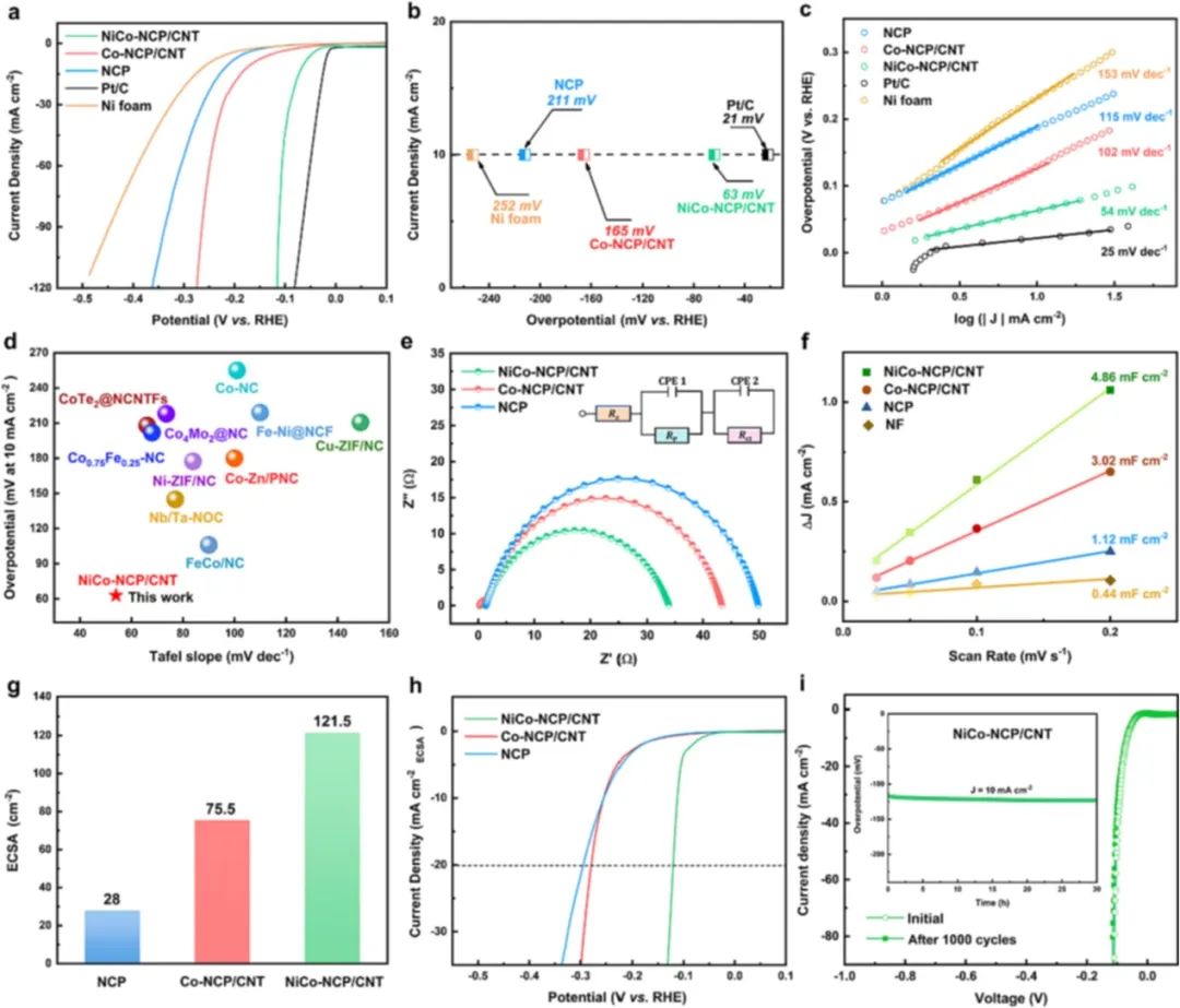 催化頂刊集錦：AFM、JACS、Adv. Sci.、ACS Nano、JMCA、CEJ等成果