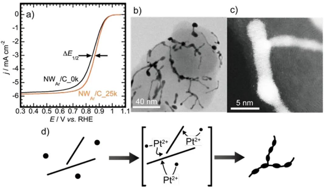 ACS Catal.：Pt-Ni納米線作為ORR電催化劑在電位循環(huán)中向分支納米結構的結構轉變