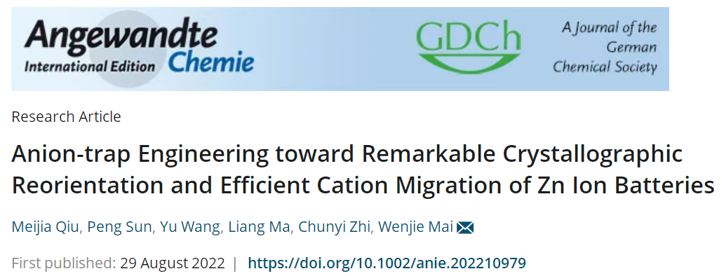 麥文杰&支春義Angew：主客體化學(xué)啟發(fā)下的高性能鋅電池！