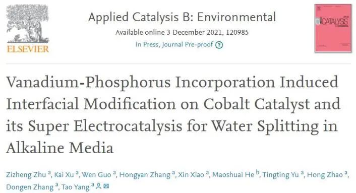 8篇催化頂刊：Angew.、AFM、Small、Chem. Eng. J.、ACS Catal.等最新成果