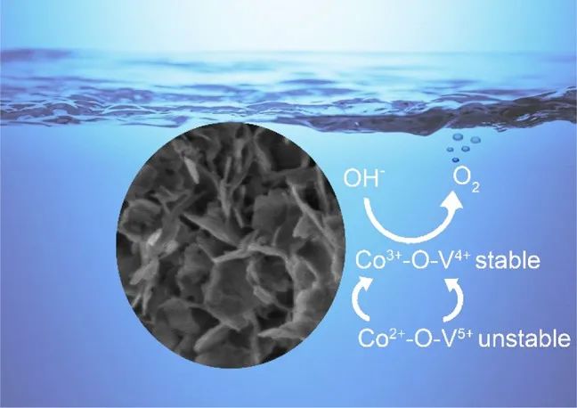 8篇催化頂刊：Nat. Catal.、JACS、Angew.、Chem、Nat. Commun.等成果