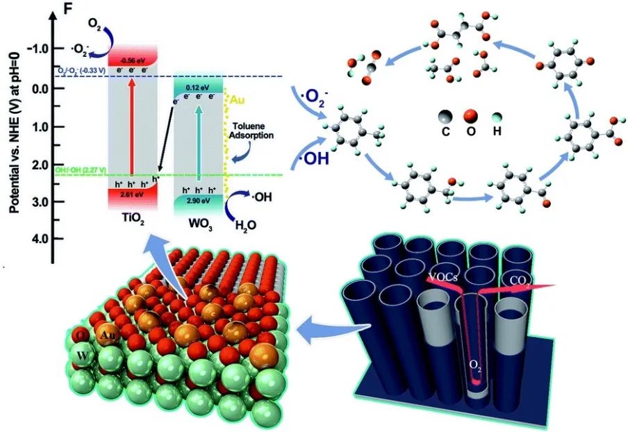 華科張延榮JMCA：Au單原子錨定的WO3/TiO2納米管光催化降解揮發(fā)性有機化合物