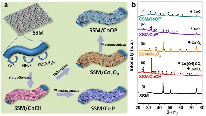 8篇催化頂刊：EES、Small、Adv. Sci.、JMCA、Nano Energy、Chem. Eng. J.等最新成果