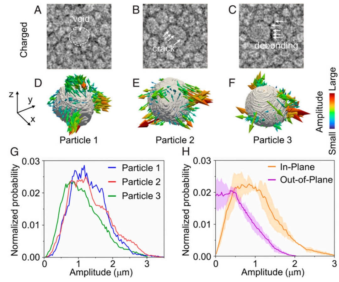 Science之后，再發(fā)PNAS！這個(gè)團(tuán)隊(duì)講述高分辨率和高通量X射線微計(jì)算機(jī)層析成像方法