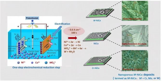 重大張云懷、肖鵬Chem. Eng. J.：摻雜有妙用，調(diào)控結(jié)構(gòu)和電子結(jié)構(gòu)促進Ni-Co合金電催化HER