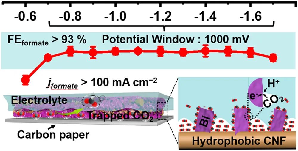 駱靜利ACS Nano：具有固有疏水性的CNF上的Bi2O3 NSs用于在寬電位窗口中進(jìn)行高性能CO2電還原