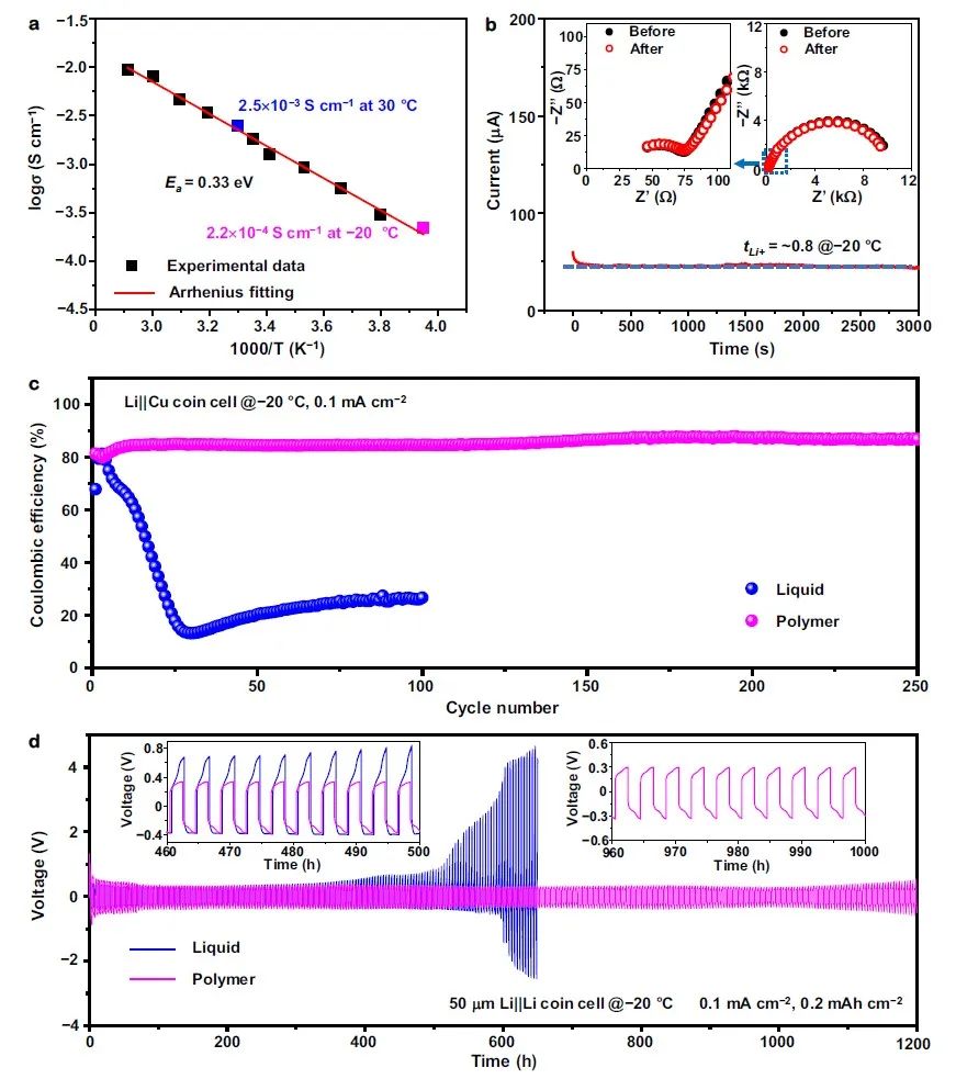 Nature子刊：準固態(tài)聚合物電解質助力鋰金屬電池-48.2℃運行！