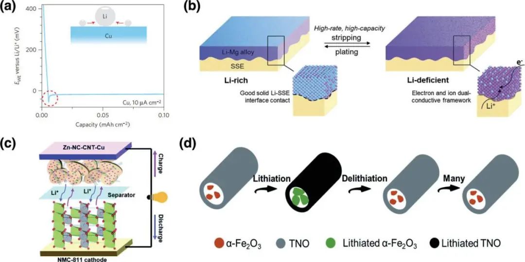 清華張強/趙辰孜AEM綜述: 無負極固態(tài)鋰電池深度剖析