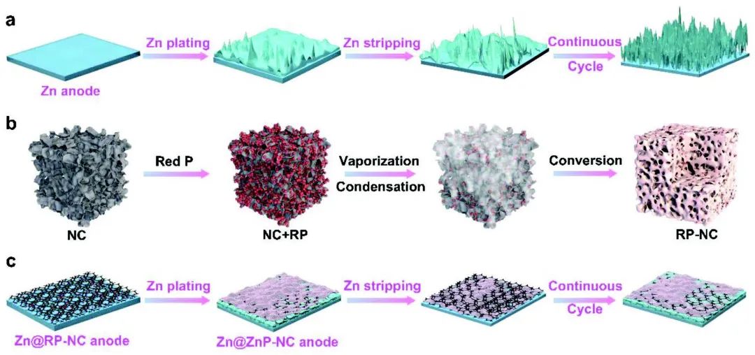 Adv. Sci.：紅磷衍生人工保護(hù)層使鋅負(fù)極穩(wěn)定循環(huán)1100小時(shí)！