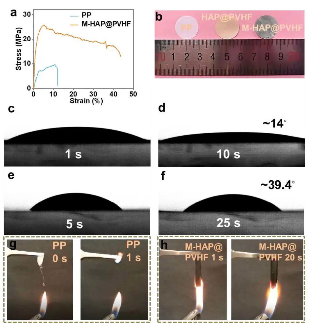 港城大支春義Nano Energy：用于安全鋰離子電池的雙功能隔膜