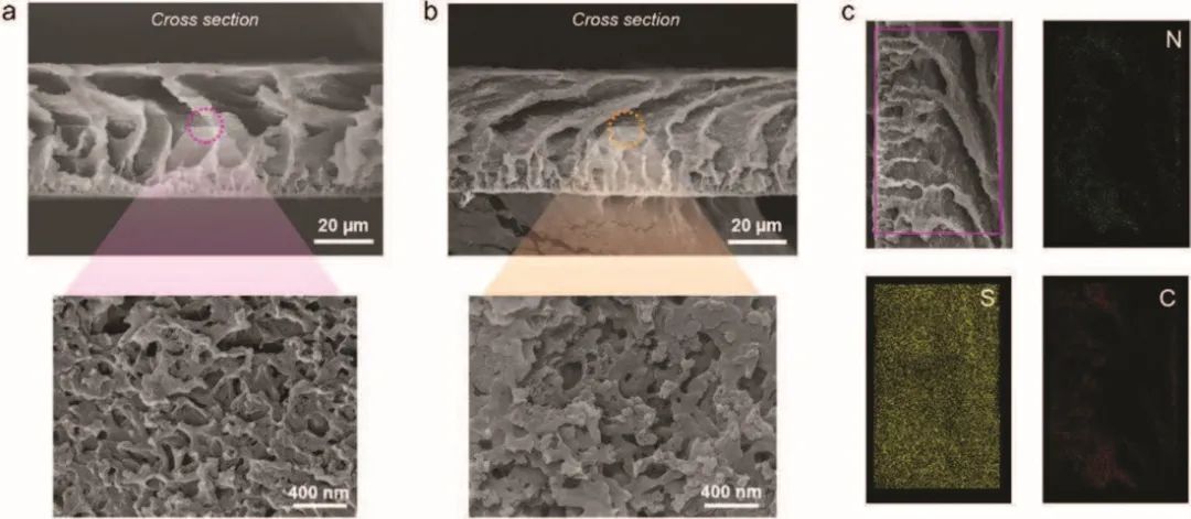 成均館大學Small Methods：用于鉀硫電池的無粘結劑、高負載正極